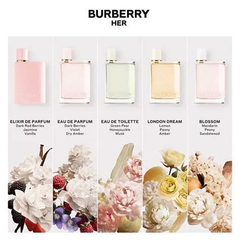 burberry check note|Burberry for women perfume notes.